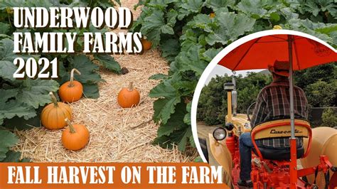 Underwood Family Farms - Fall Harvest 2021 - Best Pumpkin Patch in LA ...