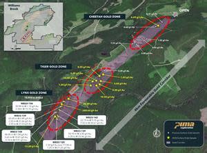 Puma Extends Lynx Gold Trend to Over 4km at Williams Brook