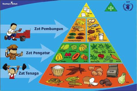 Hati-hati dengan Piramida Makanan ~ 2 Stoic