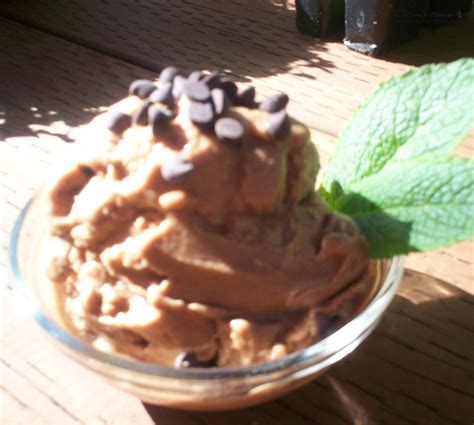 Soft Serve Chocolate Ice Cream | The Rawtarian