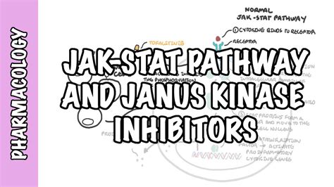 JAK (Janus Kinase Pathway) Inhibitor Tofacitinib - pharmacology ...