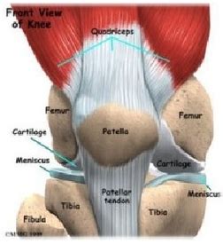 Knie Prothese - dr lagae - dr peeters - prof verdonk