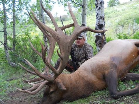 Pending World Record Bull Elk