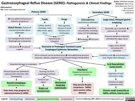 Gastroesophageal Reflux Disease (GERD): Pathogenesis and clinical findings | Calgary Guide