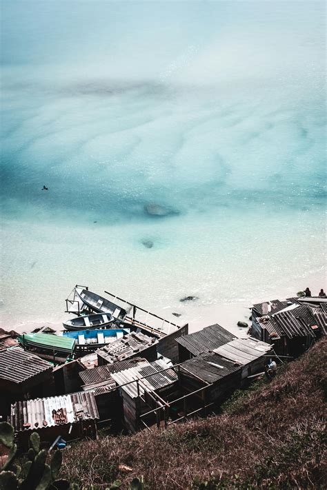 Drone Shot of an Island with Trees · Free Stock Photo