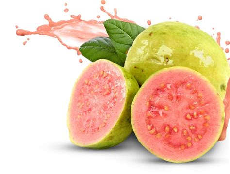12 Discovered Amazing Health Benefits of Guava - VetBest Health | Guava ...