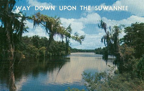 Vintage Travel Postcards: Suwannee River, Florida