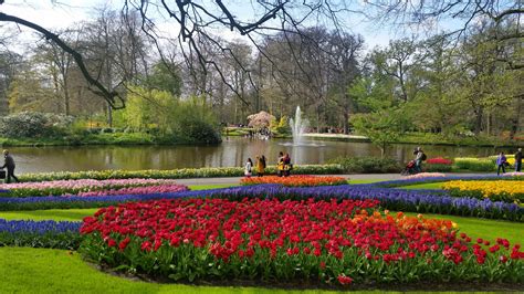 Keukenhof park. (Netherlands). The most beautiful spring garden in the ...