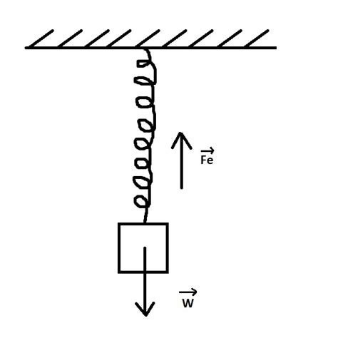 newtonian mechanics - What is the reaction force to the spring force? - Physics Stack Exchange