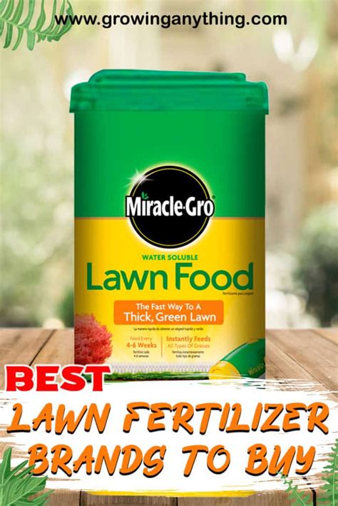 Top 15 Best Lawn Fertilizer Brands To Buy 2024