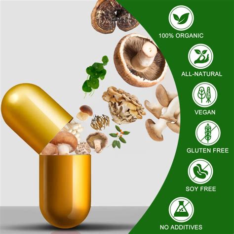 Exploring Mushroom Supplement Benefits: Appetite and Sensory Insights – Maxgenomicproducts