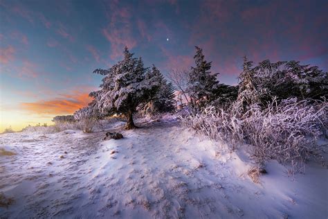 Snowy Sunrise at Roan Mountain Photograph by Spencer Carter - Fine Art ...