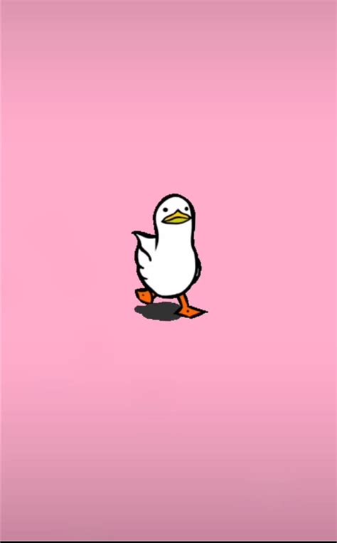 Duck meme, animal, HD phone wallpaper | Peakpx