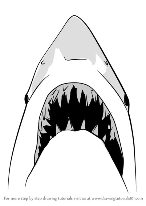 Learn How to Draw Jaws Shark (Other Animals) Step by Step ... | Shark drawing, Shark art, Shark ...