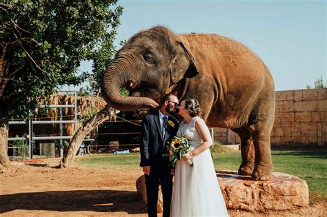 Connect with wildlife - Paphos Zoo