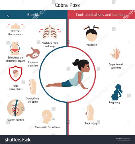 Infographics Yoga Pose Benefits Contraindications Cobra Stock Vector ...