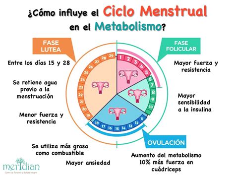 ¿CÓMO INFLUYE EL CICLO MENSTRUAL EN NUESTRO METABOLISMO? – MERIDIAN