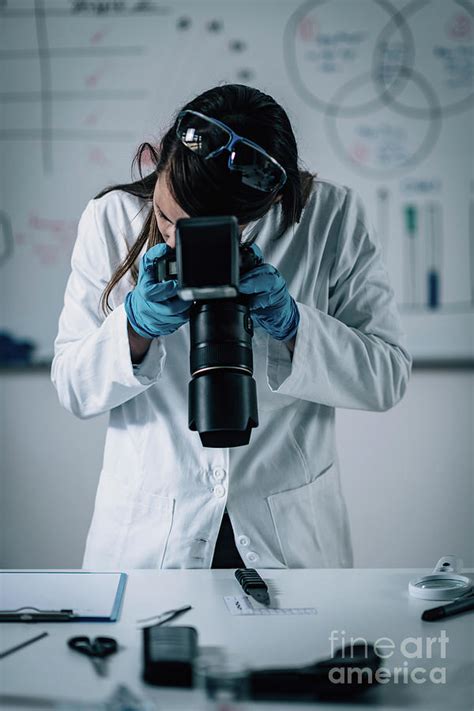 Forensics Expert Examining Crime Scene Evidence Photograph by Microgen Images/science Photo ...