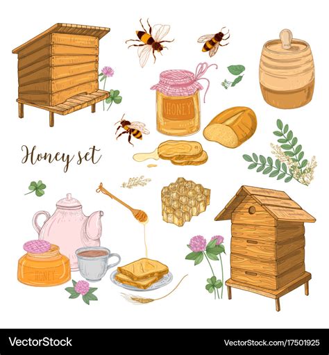 Honey production beekeeping or apiculture set Vector Image