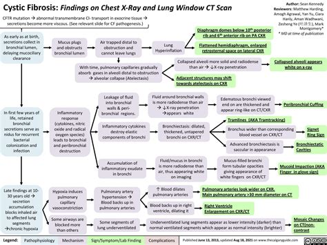 Cystic Fibrosis: Findings on Chest X-Ray and Lung Window CT Scan ...