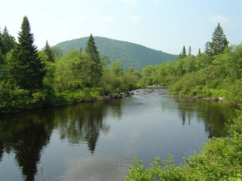 Nulhegan River landscape greenery image - Free stock photo - Public ...