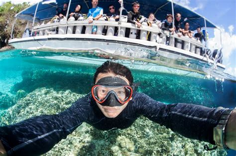 Dive Palau 2017 Trip Report - PaparazSea