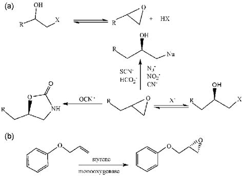 a-Enzymatic methods for the biocatalytic synthesis of epoxides, besides ...