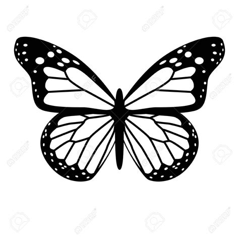 A black and white vector butterfly , #affiliate, #white, #black, #butterfly, #vector | Butterfly ...