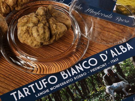 Fall Weekend at the Alba White Truffle Festival in Langhe hills, Italy