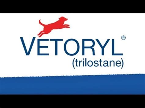 Vetoryl for Dogs - YouTube