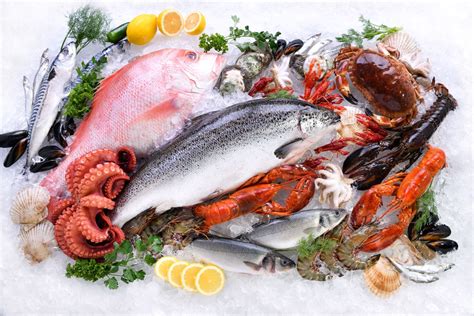 The Best Seafood Markets to Visit Near Fort Morgan