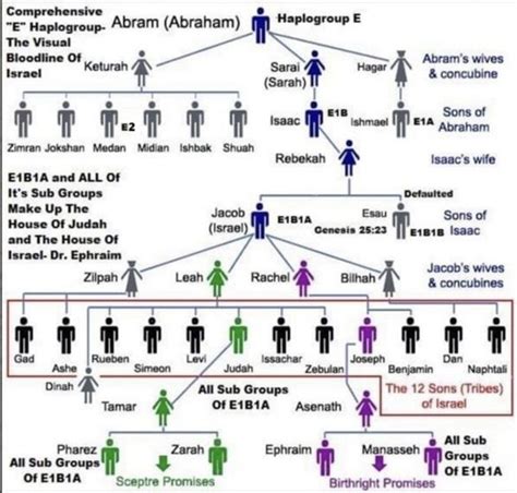 Will DNA/ancestry tests make black pride an outdated concept? - Quora