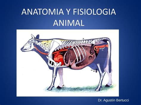 Anatomía y Fisiología Animal Presentación | Jonathan Barrios | uDocz