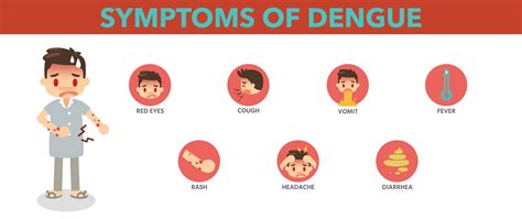 Dengue Fever in India: Causes, Symptoms, and Prevention Strategies for ...