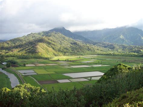 Hanalei valley lookout | Hanalei, Places ive been, Places