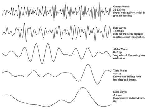 Brain waves | Major Project