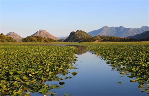 NATIONAL PARK SKADAR LAKE - Montenegro Travel Agency Adria Line