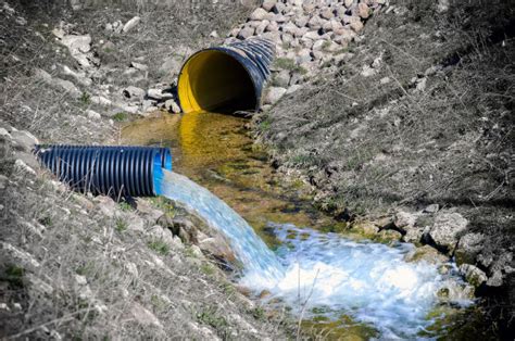 Would You Drink Sewage Beer?