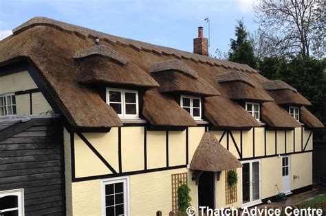 7 Thatch Design Points for Architects to Consider - Thatch Advice Centre