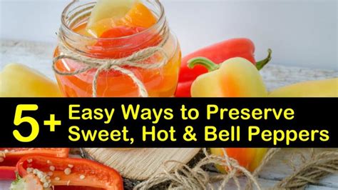 5+ Easy Ways to Preserve Sweet, Hot and Bell Peppers