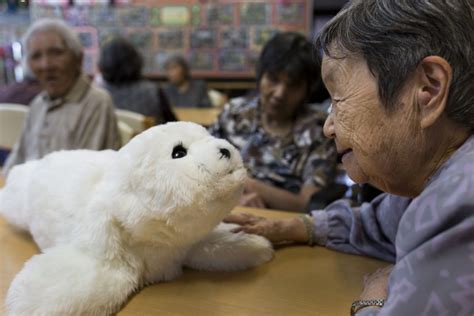 Paro the robotic seal welcomed by residents | Bankstown City Aged Care