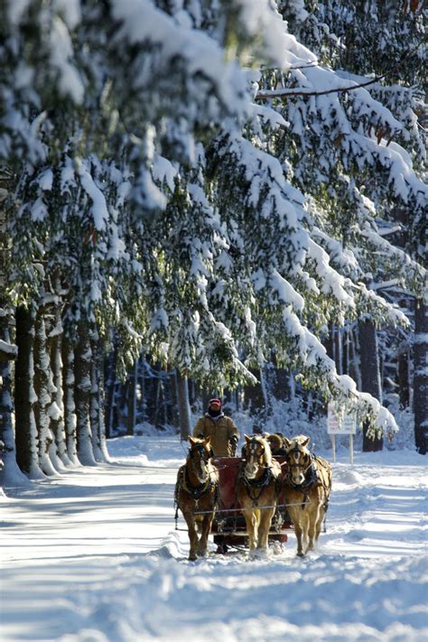 Top Winter Activities In Syracuse, NY | Visit Syracuse