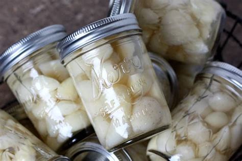 How To Preserve Garlic - Barefeet in the Kitchen