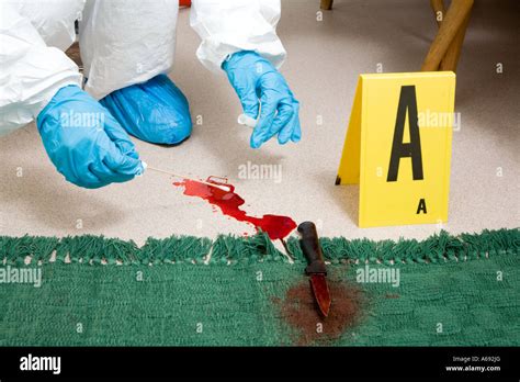 Forensic Officer collecting blood at a crime scene Stock Photo - Alamy