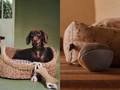 Zara Home launches pet collection: Here’s everything we want to buy | The Independent