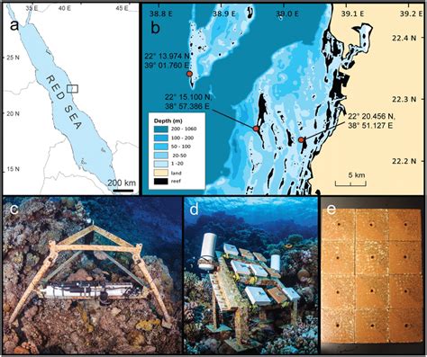 Map of study area and set up of coral reef monitoring sites in the... | Download Scientific Diagram