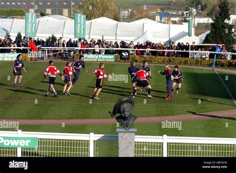 Horse Racing - Cheltenham Races Stock Photo - Alamy