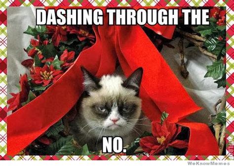 A Grumpy Cat Christmas - Introvert Spring