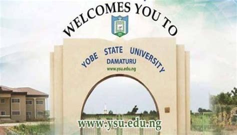 Yobe varsity appeals for allocation review - Daily Trust