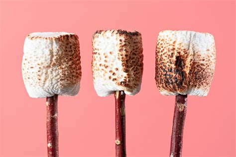 16 Creative Toasted Marshmallow Recipes